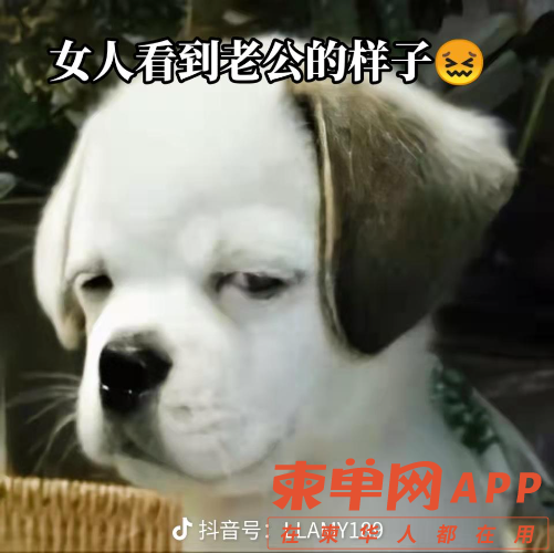 share_fb21363375c221b08d9de0114609fd53.png
