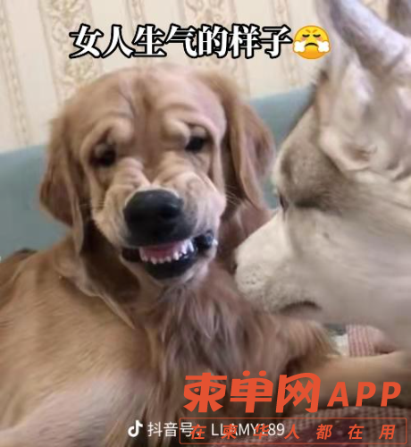 share_e7fe6b79dbfc42c08c8321be4559c617.png