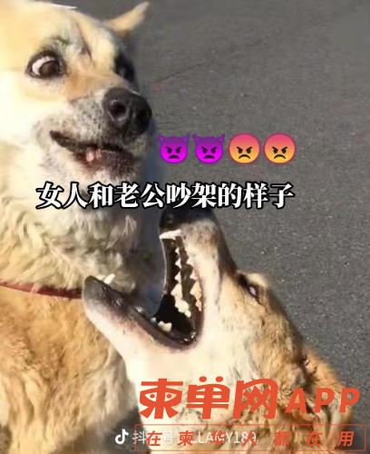 share_996b50783ee8e3e23c32c80bde0e66e3.png