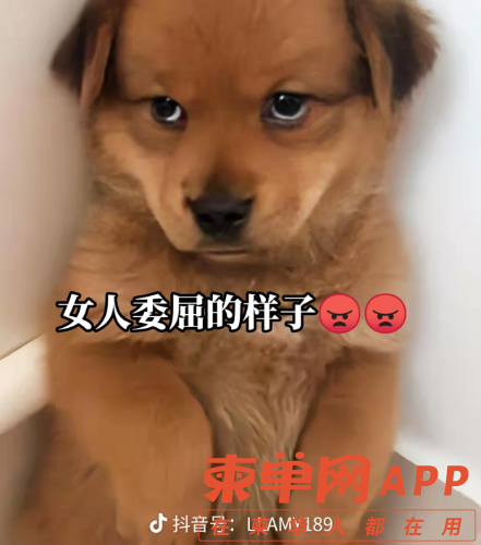 share_515c56a370596ed9f71b53d305dea6cc.png
