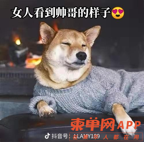 share_5a75a2d8123fcb0ecae9a4bbe9a62e60.png