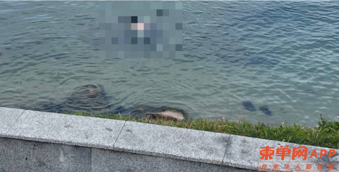 微信截图_20211217141801.png
