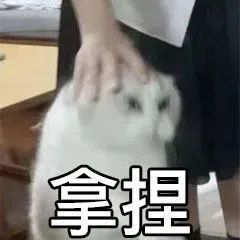 0.jpg