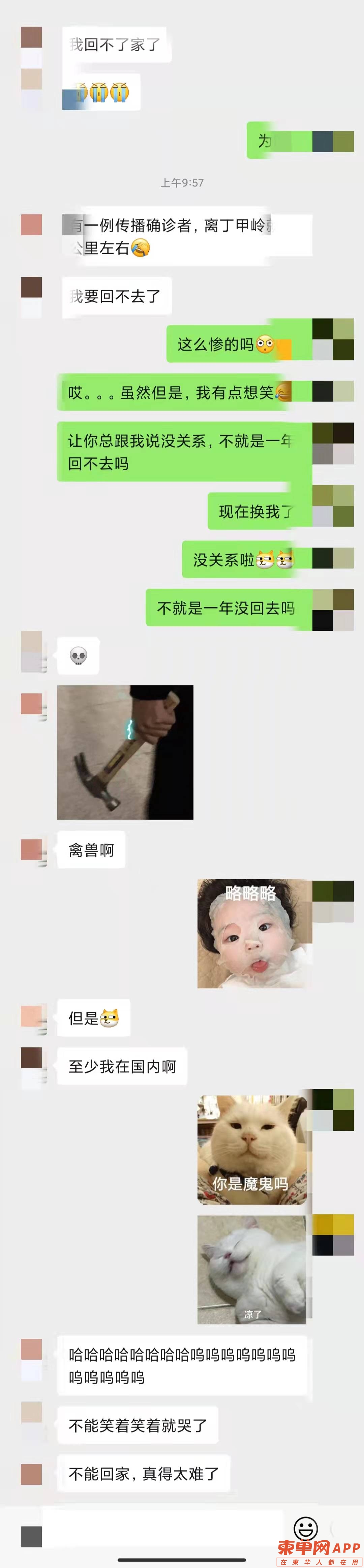 111.jpg