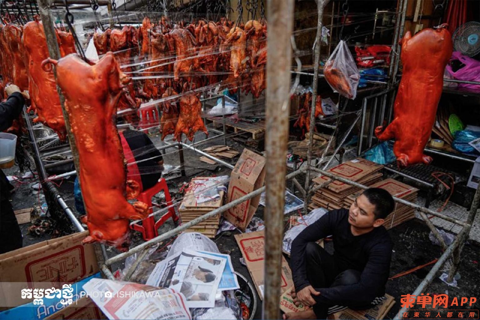 乌亚西商贩：春节烧猪销量将大增