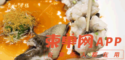 20220128230031front2_0_275584_FhZ3DjH83heqdZGiSl1aC6c8EE42.gif