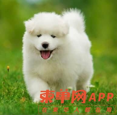 20220217093851front1_0_202112_Fkcm0WOQ-67CElNjwpdIipHZOpkj.jpg