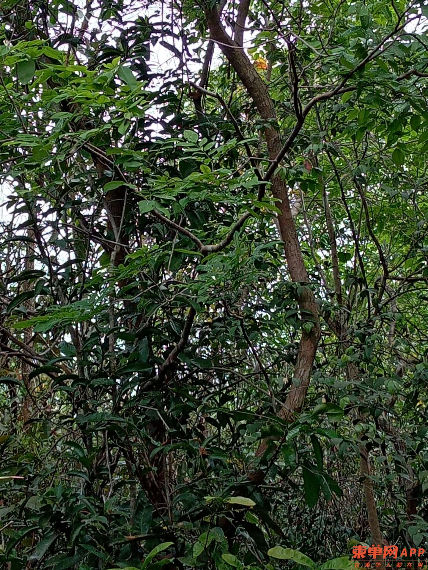 20220222125506front2_0_208163_FpPLUfr6RcLlhDJG8FSbOj48msBl.jpg