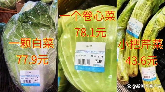 微信图片_20220329174105.jpg
