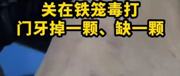 0.jpg
