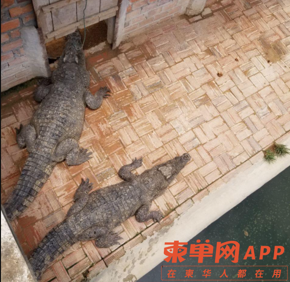 微信截图_20220420133555.png