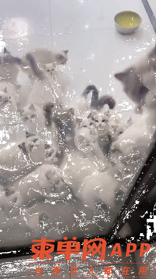 20220422170207front1_0_185591_ltqw8Lz-3e624nGRalSH1XbFTBOJ.gif