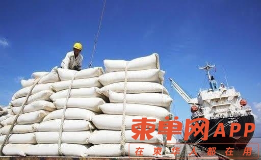 大米1.jpg