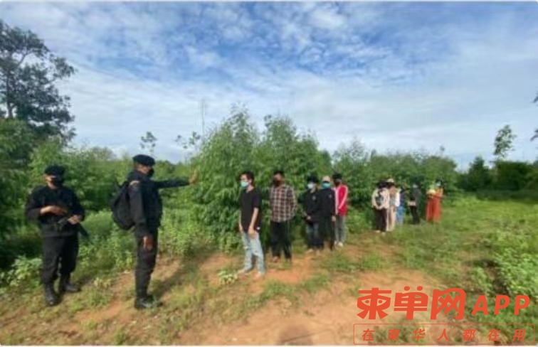 微信图片_20220520104545.jpg