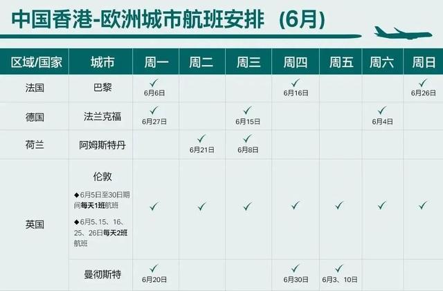 航班8.jpeg