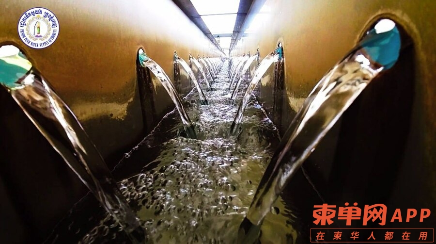 C1E172AB-2D6E-4041-8A6A-364A72A.jpeg