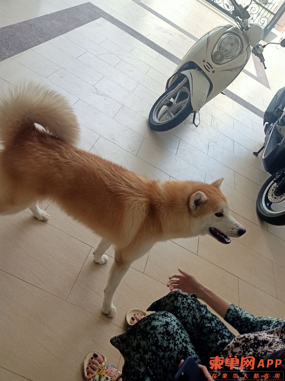 20220611181153front1_0_328683_FmFo7Wm7mSq8jP0KX34gcwUG7ejU.jpg