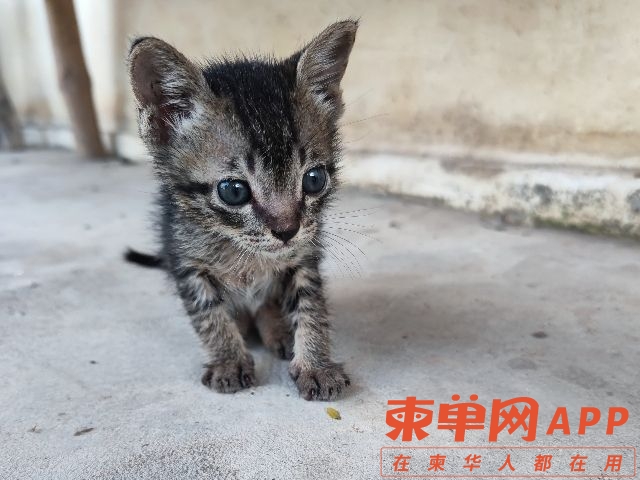 20220621154238front2_0_136117_FnJFmO-KXHg5yAilAw7hgvsEmtYO.jpg