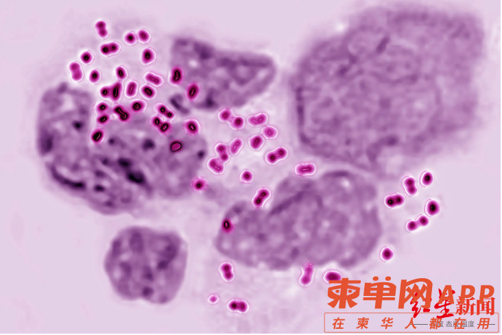 微信图片_20220623091935.png