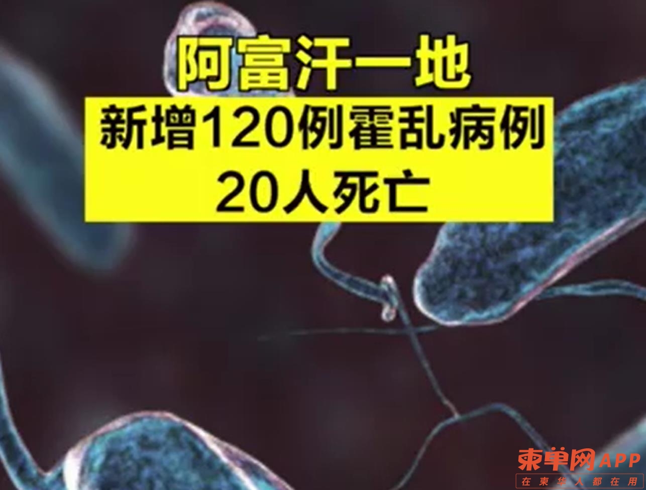 微信截图_20220711213134.jpg