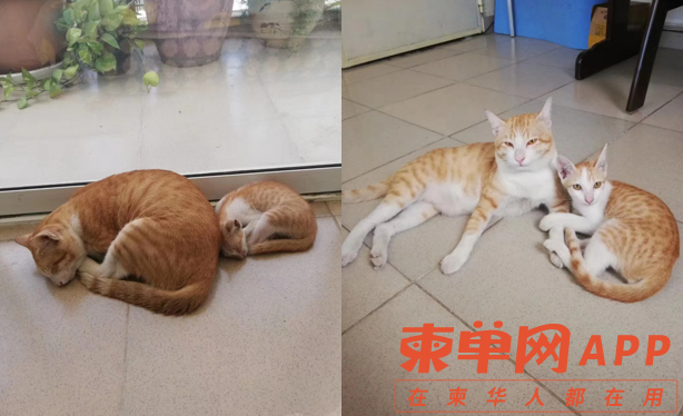 微信截图_20220713174345.png