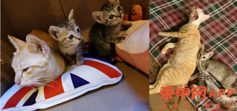微信截图_20220713174641.png