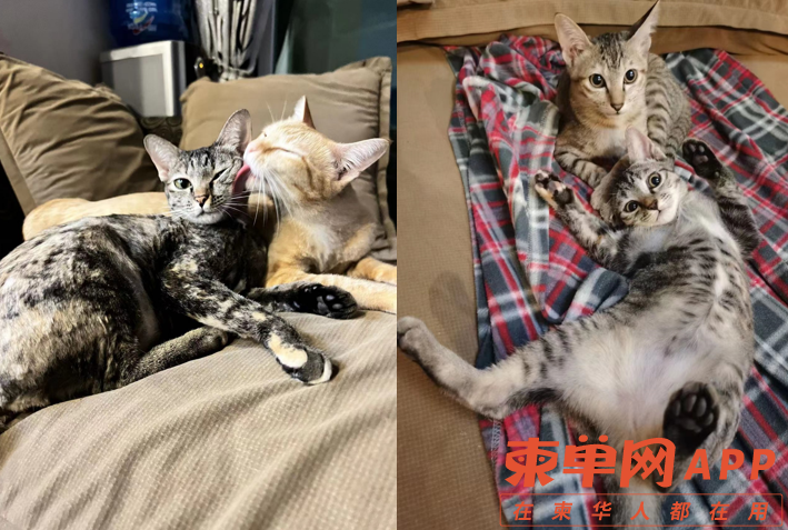 微信截图_20220713174801.png