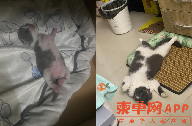 微信截图_20220713175306.png