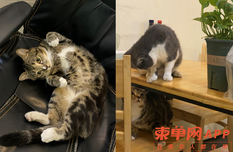 微信截图_20220713175509.png