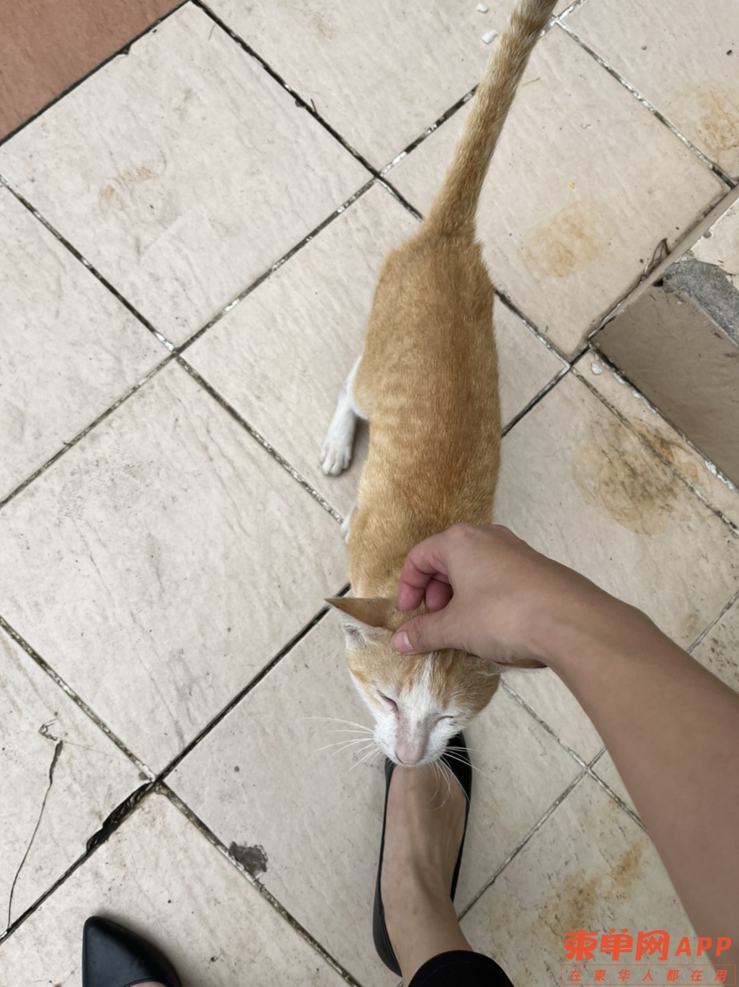 20220713212305front1_0_78051_FpjnnZQ5I5R0ZEFJgqeWQBFb92Os.jpg