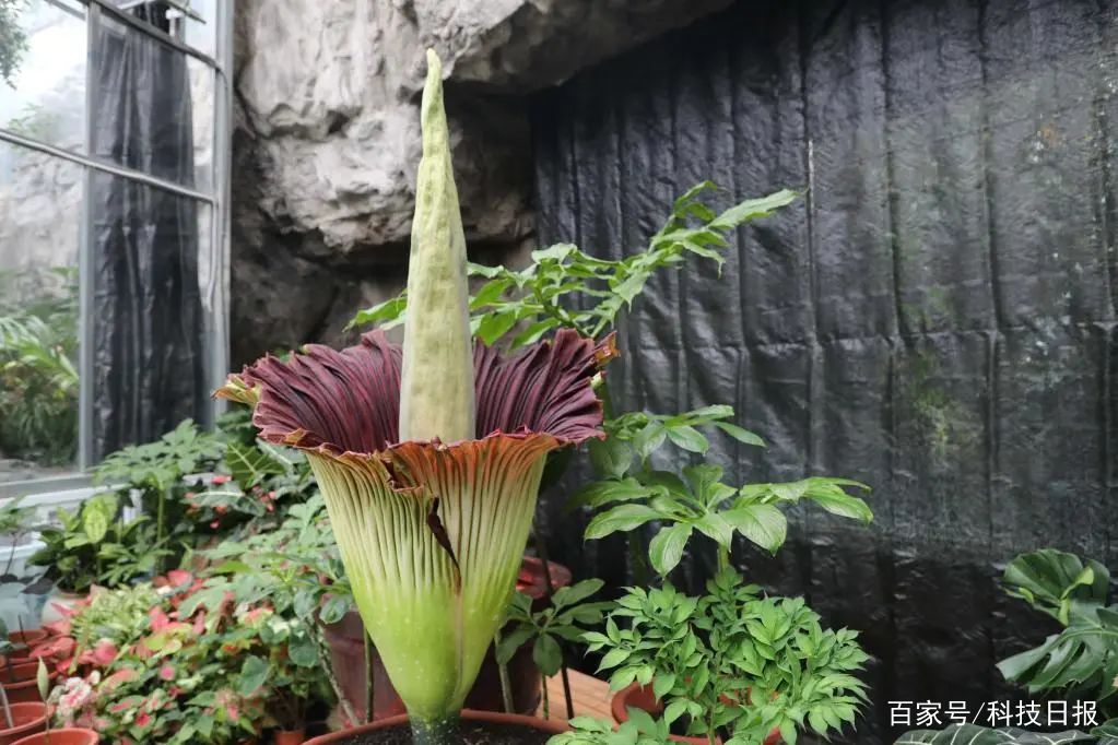 微信图片_20220722113336.jpg