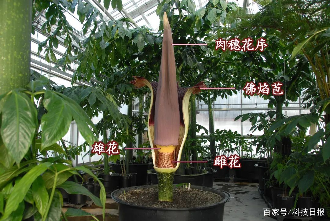 微信图片_20220722113331.jpg