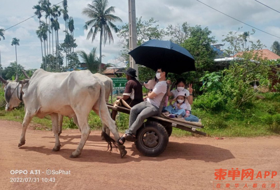 微信截图_20220801113731.png