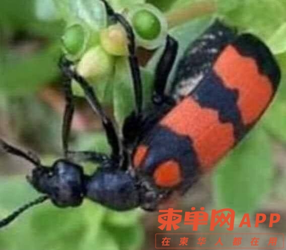 微信图片_20220802104054.jpg