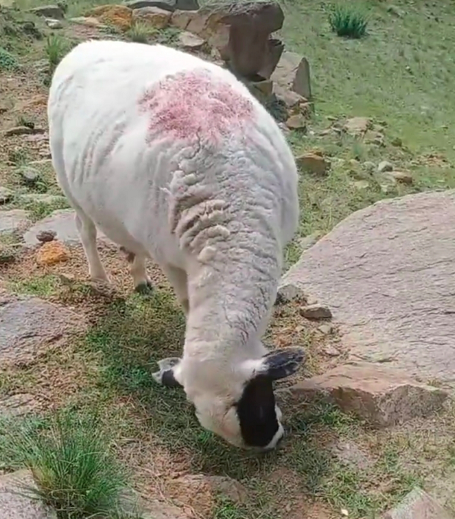 微信图片_20220810143417.png