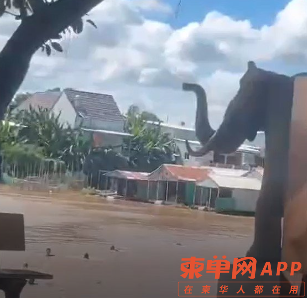 微信截图_20220818153413.png