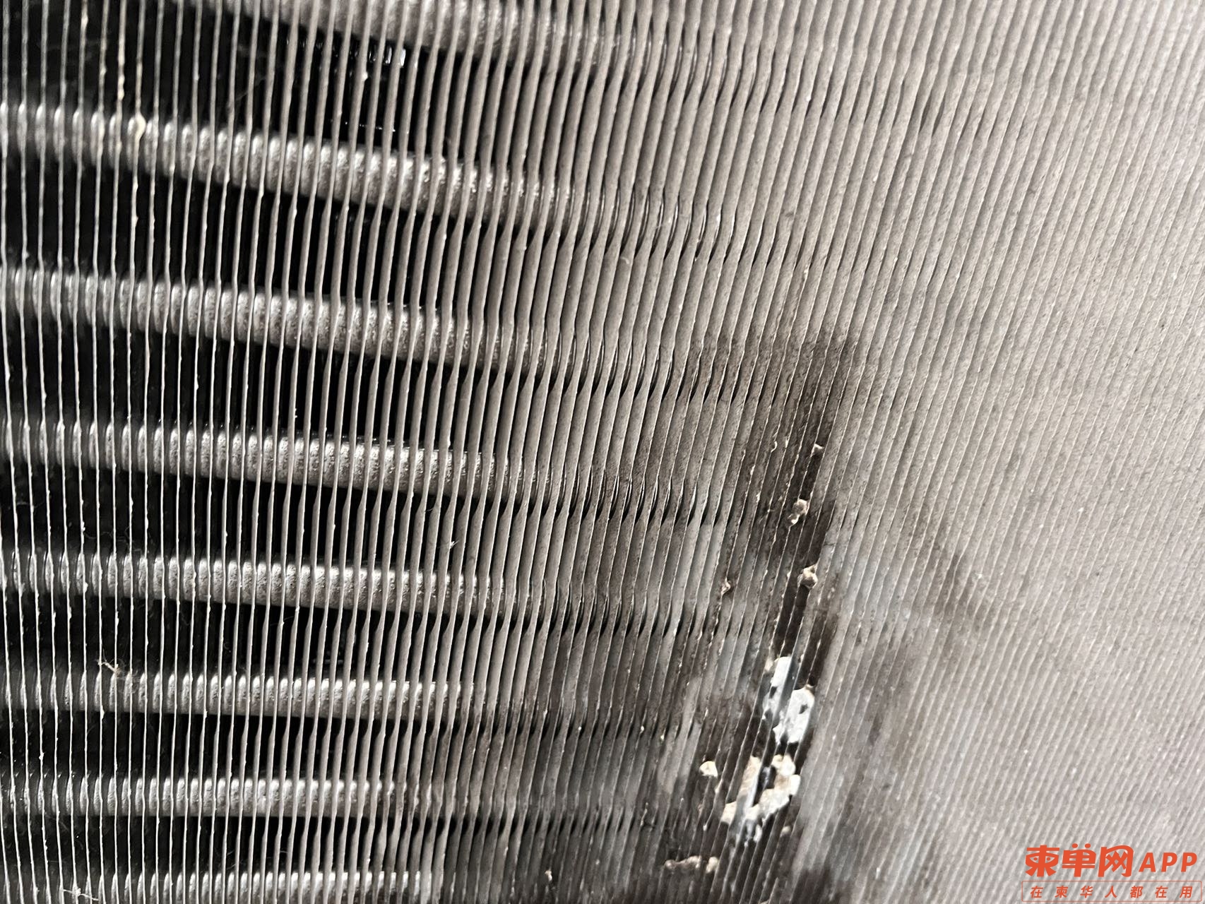 20220826010505front1_0_238040_Fij5ilSrzsTZ-8fZNxHMC0nykYhn.jpg