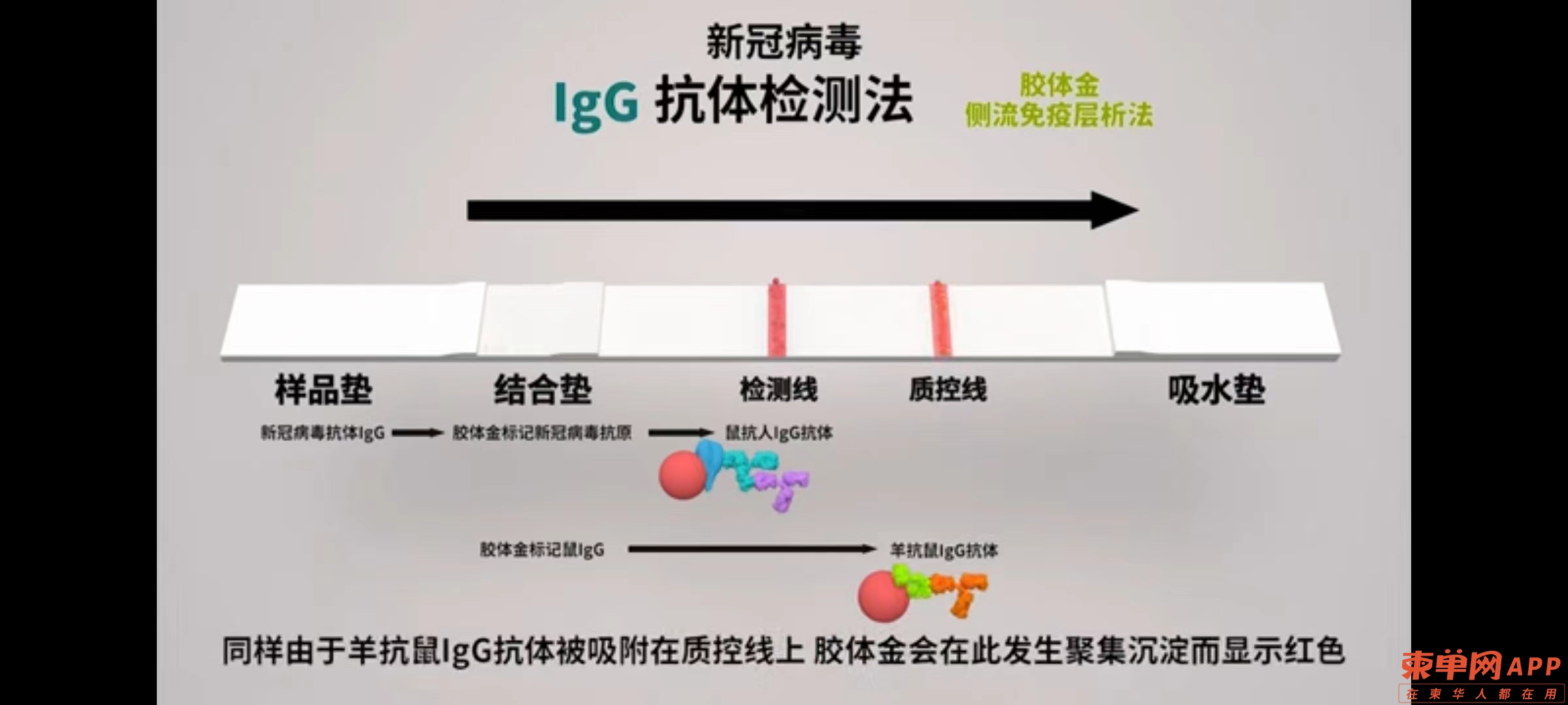 微信图片_20220826151556.jpg
