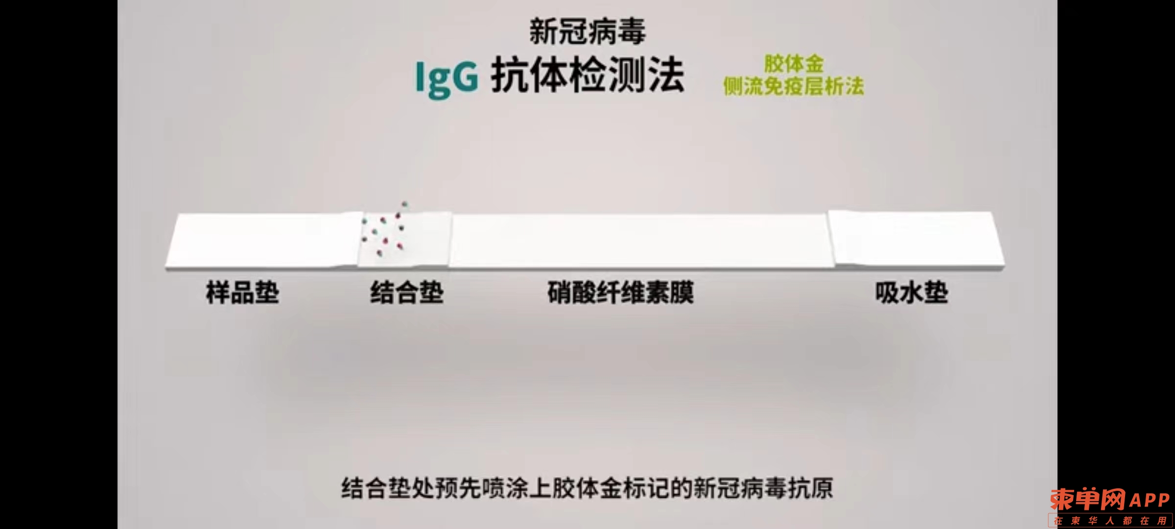 微信图片_20220826151559.jpg