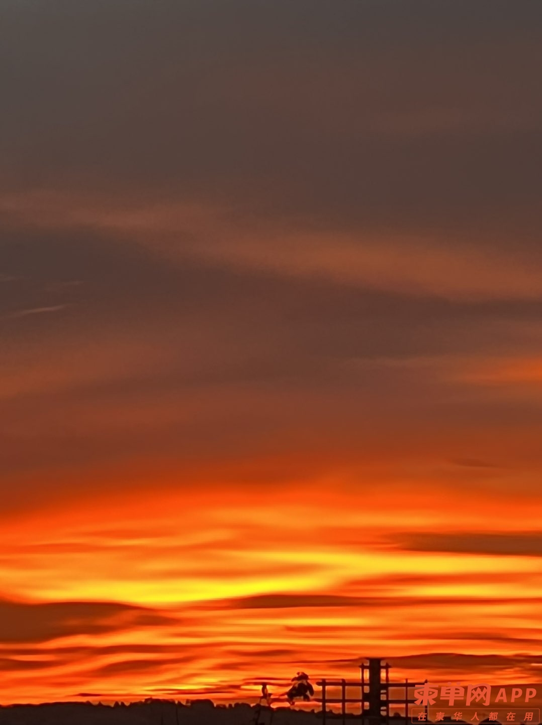 20220829185014front1_0_385701_FoSwfi_vBrakmgjbKmG8aDxMp48_.jpg