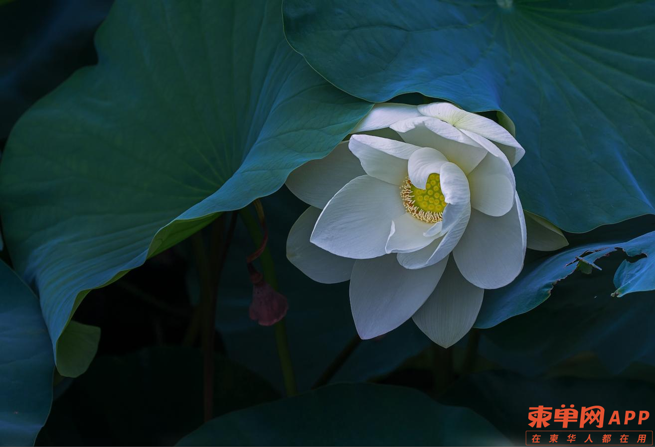 图片4.png