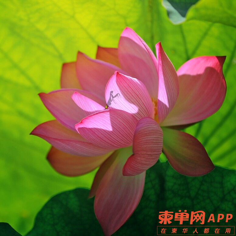 图片12.png