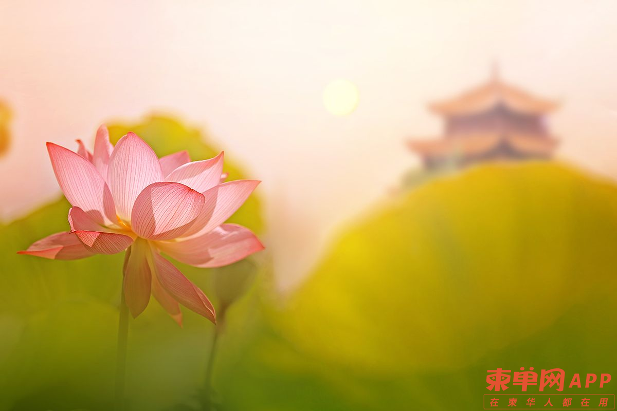 图片20.png