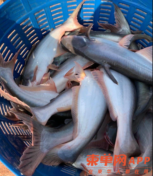 微信截图_20220913140304.png