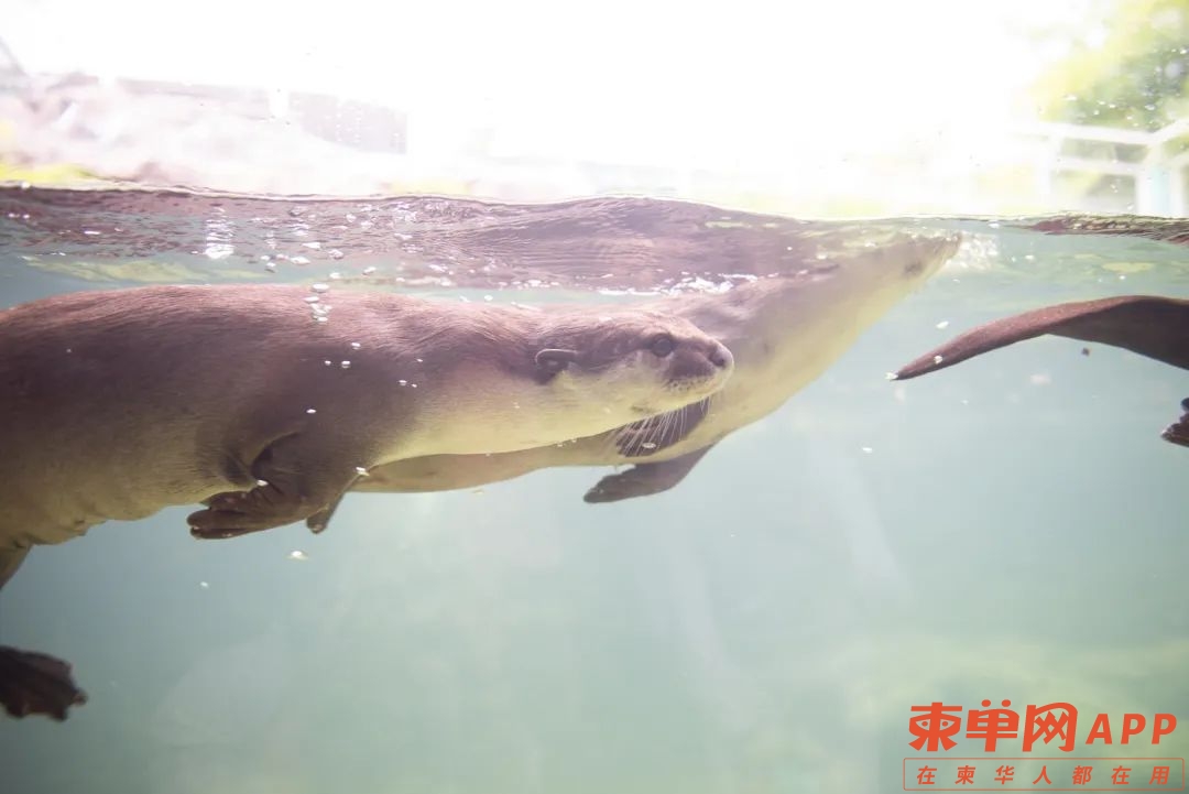 微信图片_20220919174129.jpg