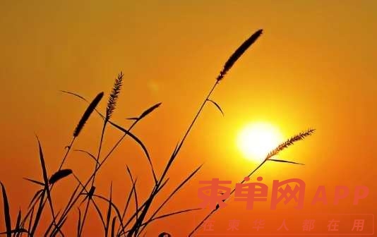20220924131410front2_0_74342_FlHZ3272gAA68vk-phnoOEn4beAc.jpg