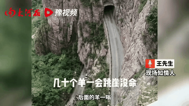微信图片_20220926223349.gif