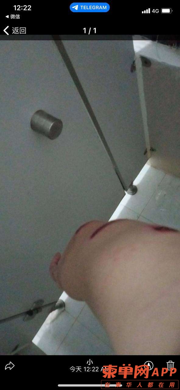 20221001224222front2_0_498159_FrHGesxB3V_FMnmurTvQ4LqSpgtl.jpg