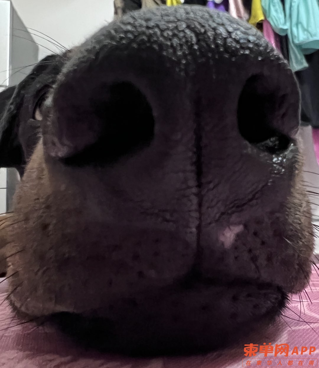 20221004015825front1_0_95054_FgY8SbDpfZ4d6cNUXFWj7irx7Ito.jpg