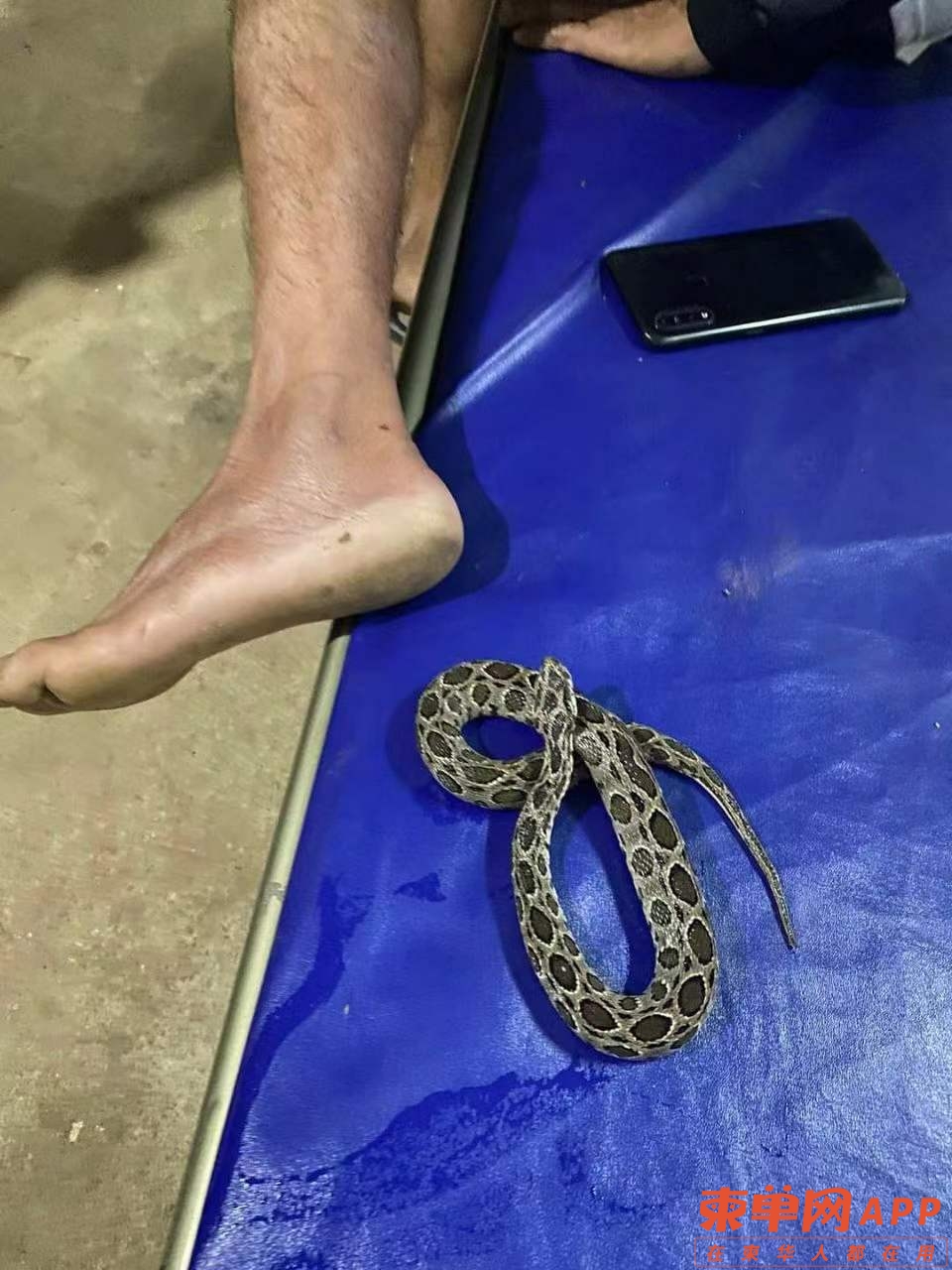 微信图片_20221023140016.jpg